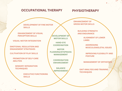 Understanding the Differences Between Physiotherapists and Occupational Therapists