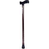 Walking Stick