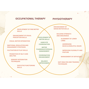 Understanding the Differences Between Physiotherapists and Occupational Therapists