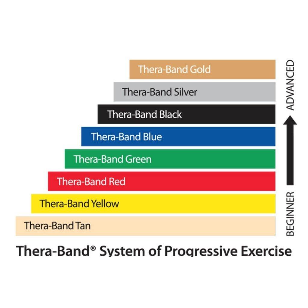 TheraBand Professional Latex Resistance Bands Elevate Your Fitness
