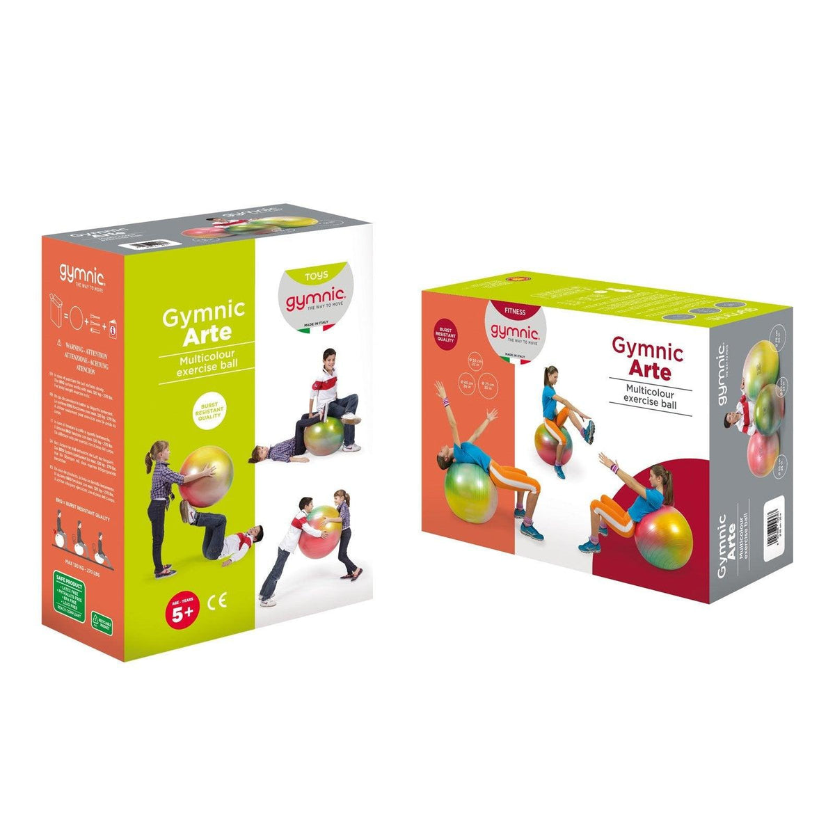 Gymnic Plug GYMNIC ARTE PHYSIO BALL – Medilab India