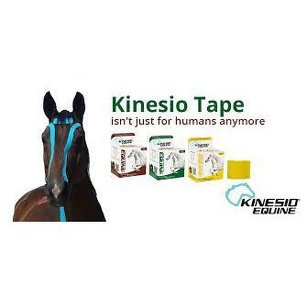 Kinesio Equine